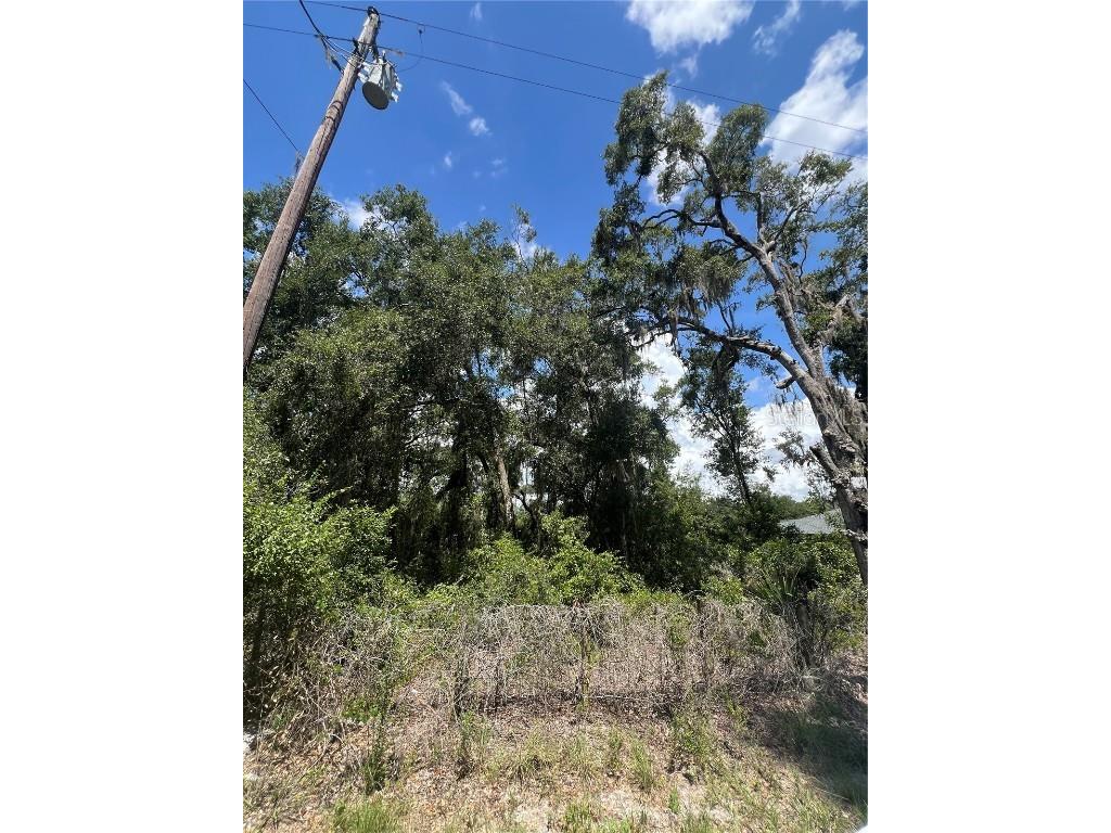 9113 E Royal Palm Drive Inverness FL 34450 W7872397 image8