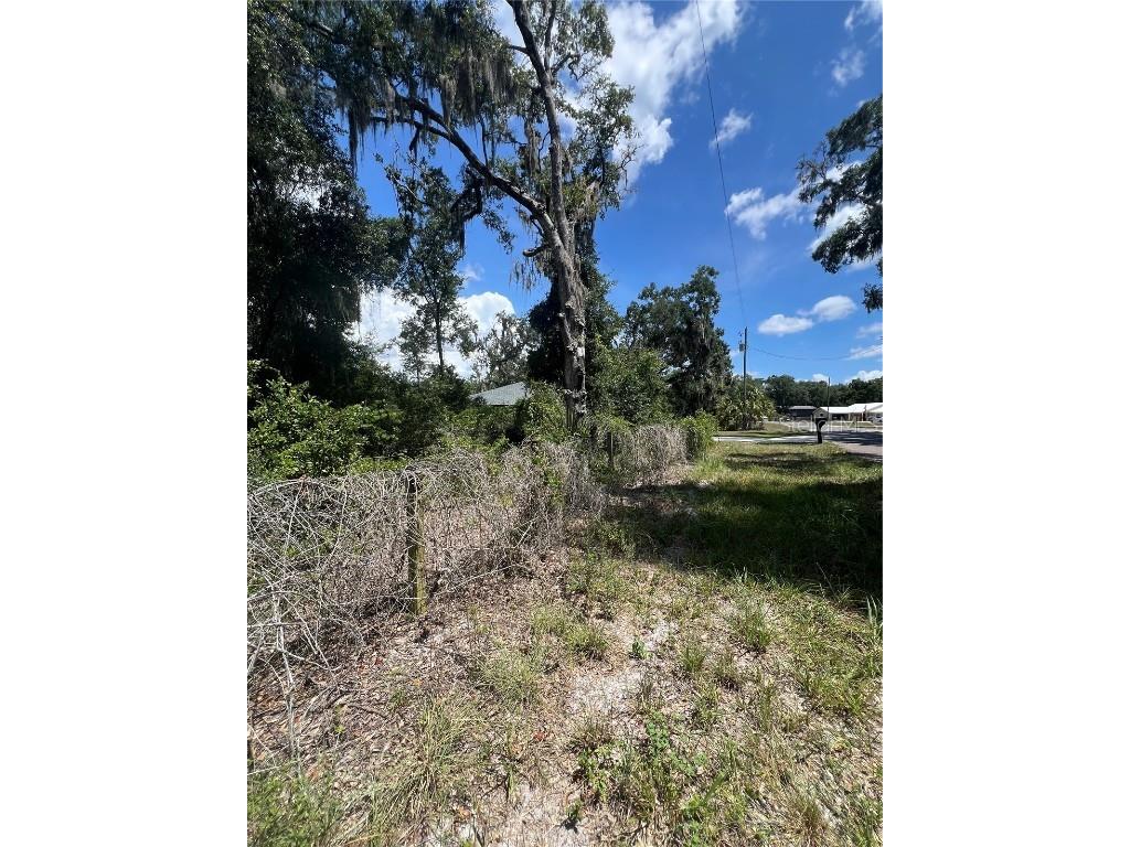 9113 E Royal Palm Drive Inverness FL 34450 W7872397 image9