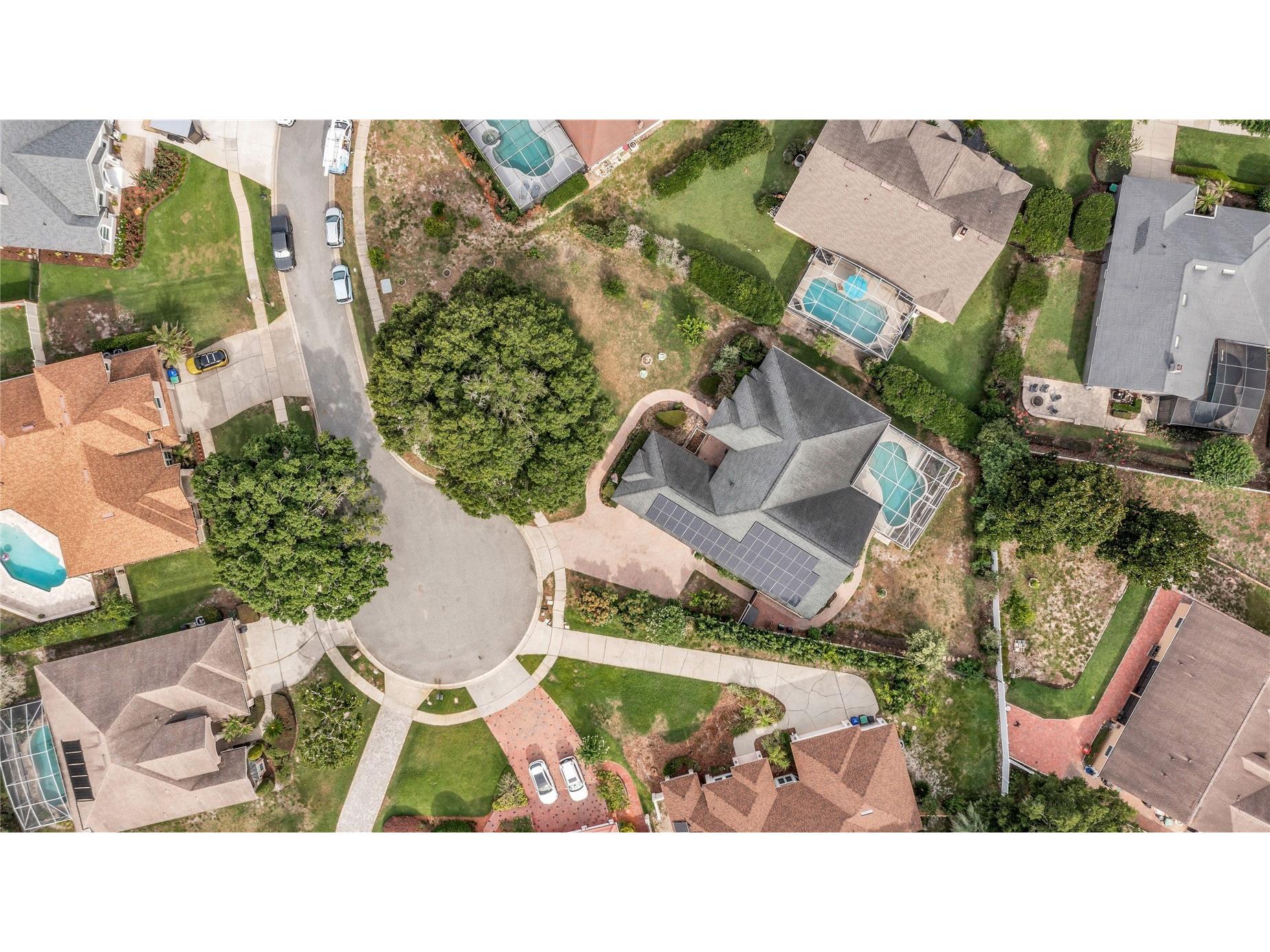 9113 Ivey Hill Court Orlando FL 32819 S5151134 image51