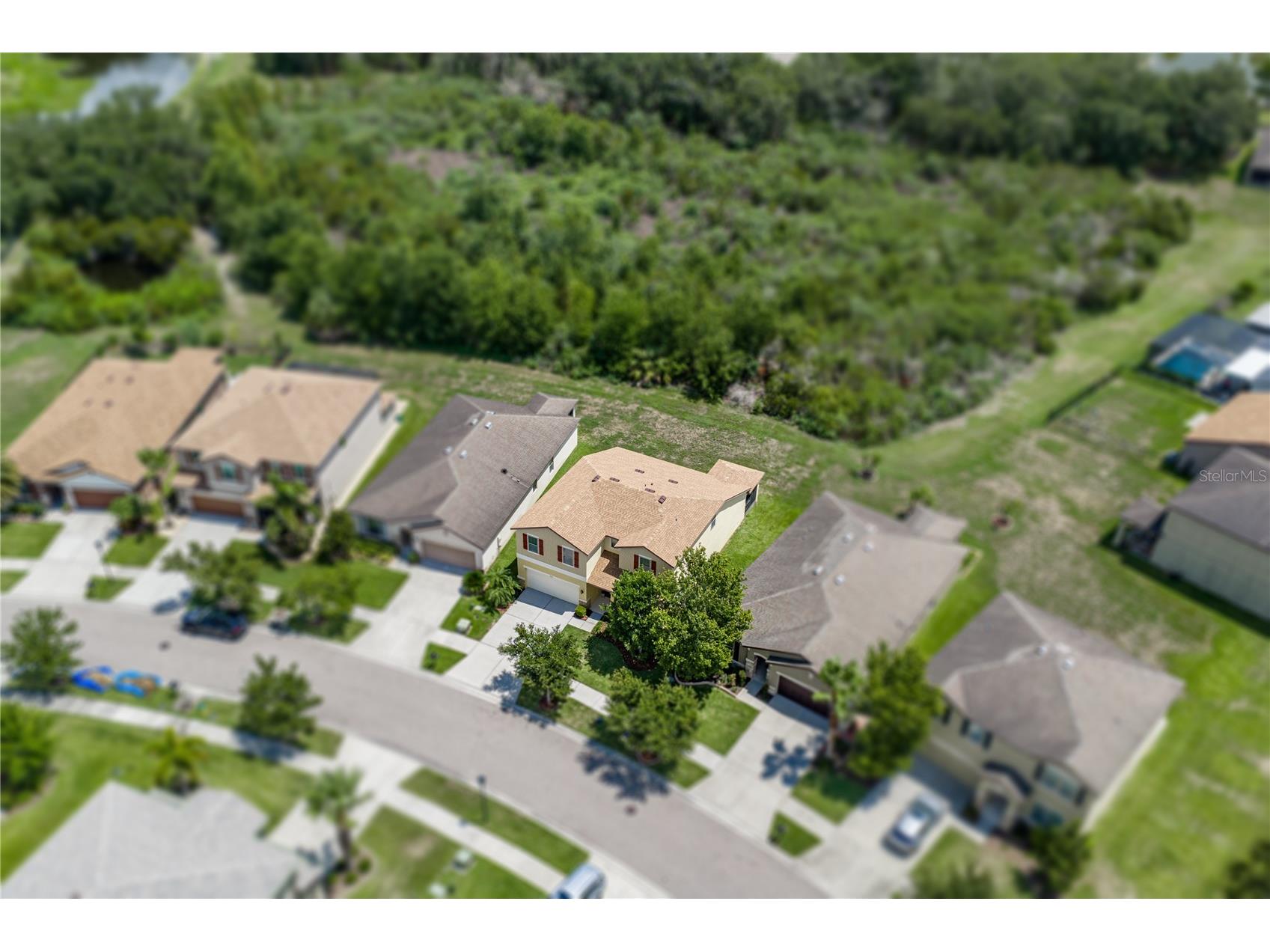 9114 Mountain Magnolia Drive Riverview FL 33578 TB8525844 image2
