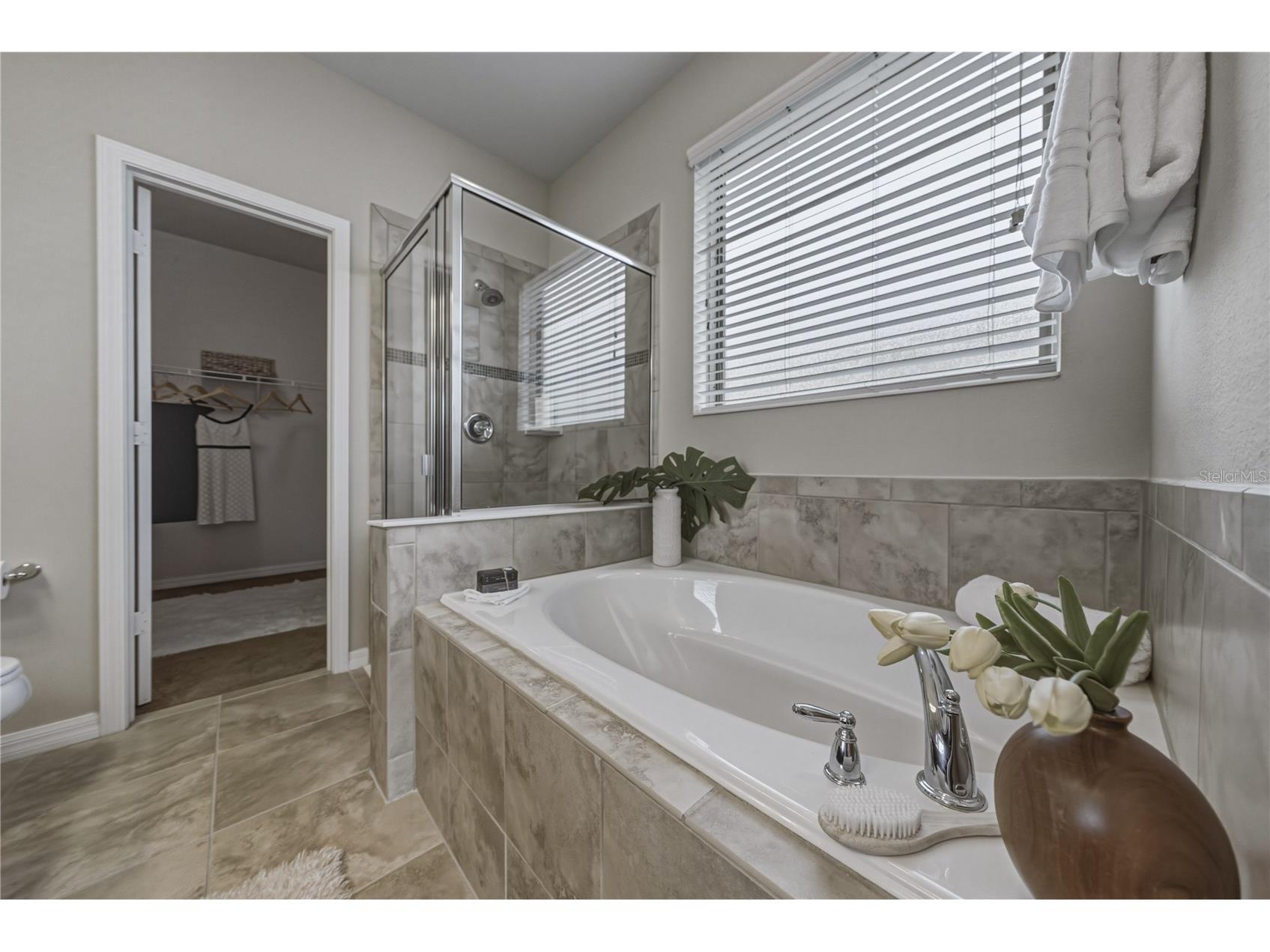 9114 Mountain Magnolia Drive Riverview FL 33578 TB8525844 image38
