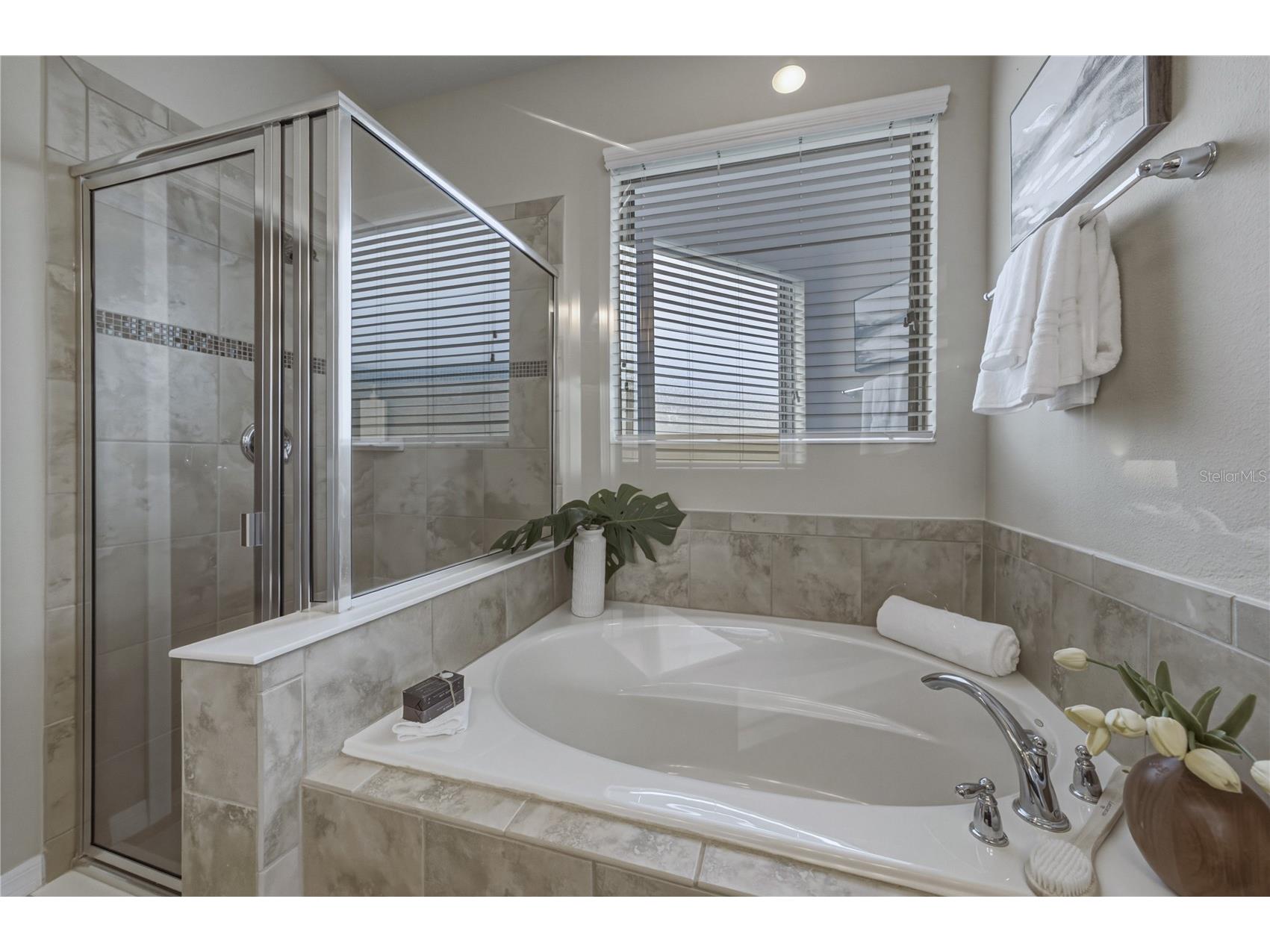 9114 Mountain Magnolia Drive Riverview FL 33578 TB8525844 image39