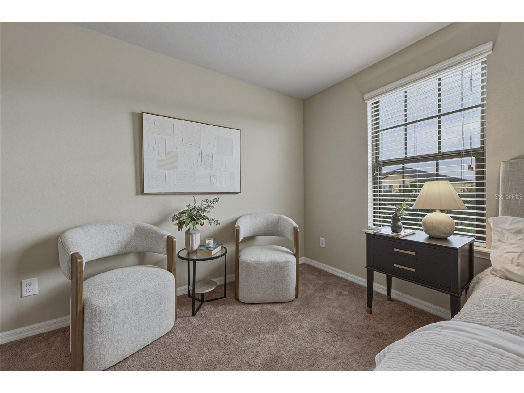 9114 Mountain Magnolia Drive Riverview FL 33578 TB8525844 image50