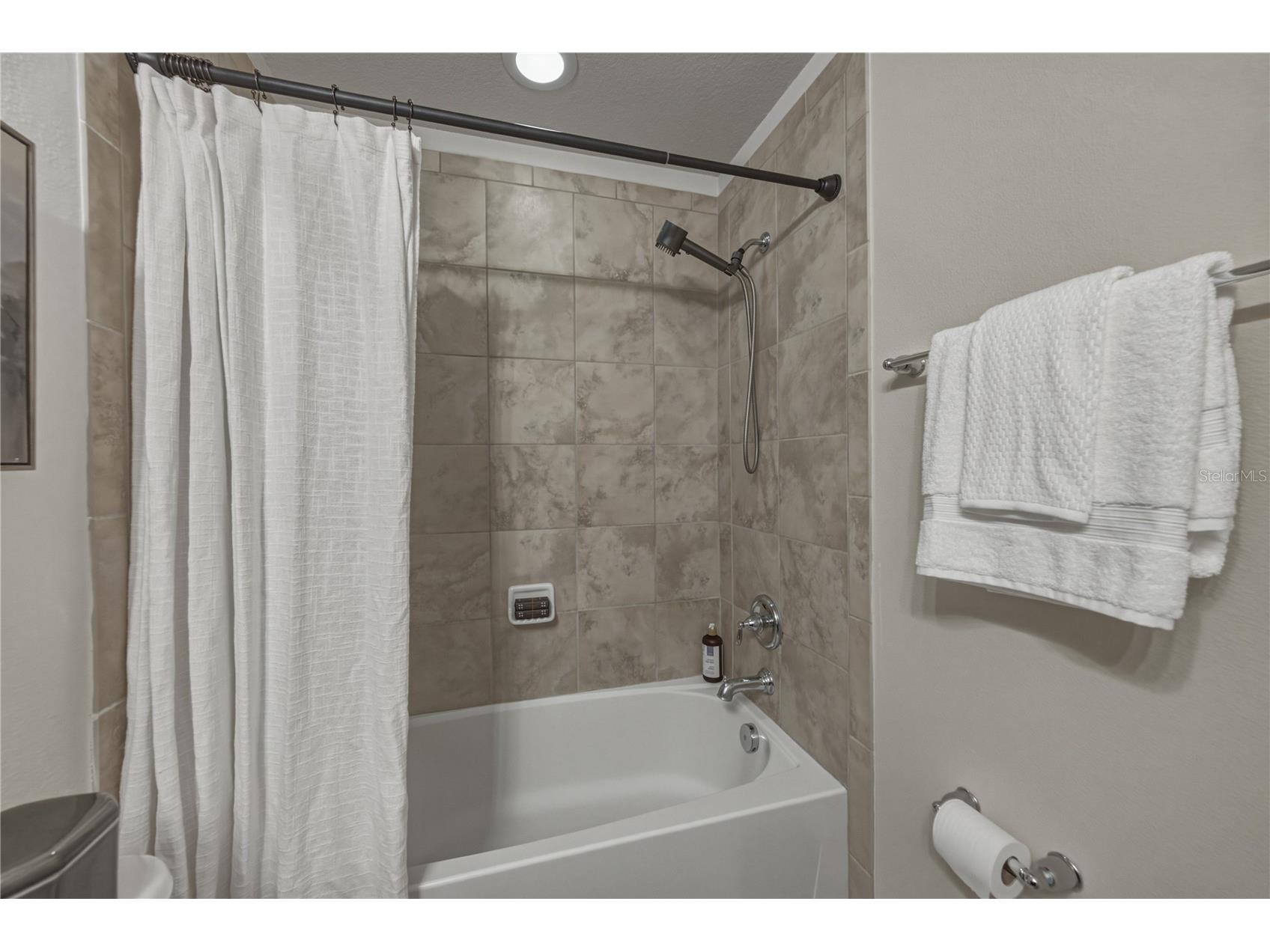 9114 Mountain Magnolia Drive Riverview FL 33578 TB8525844 image53
