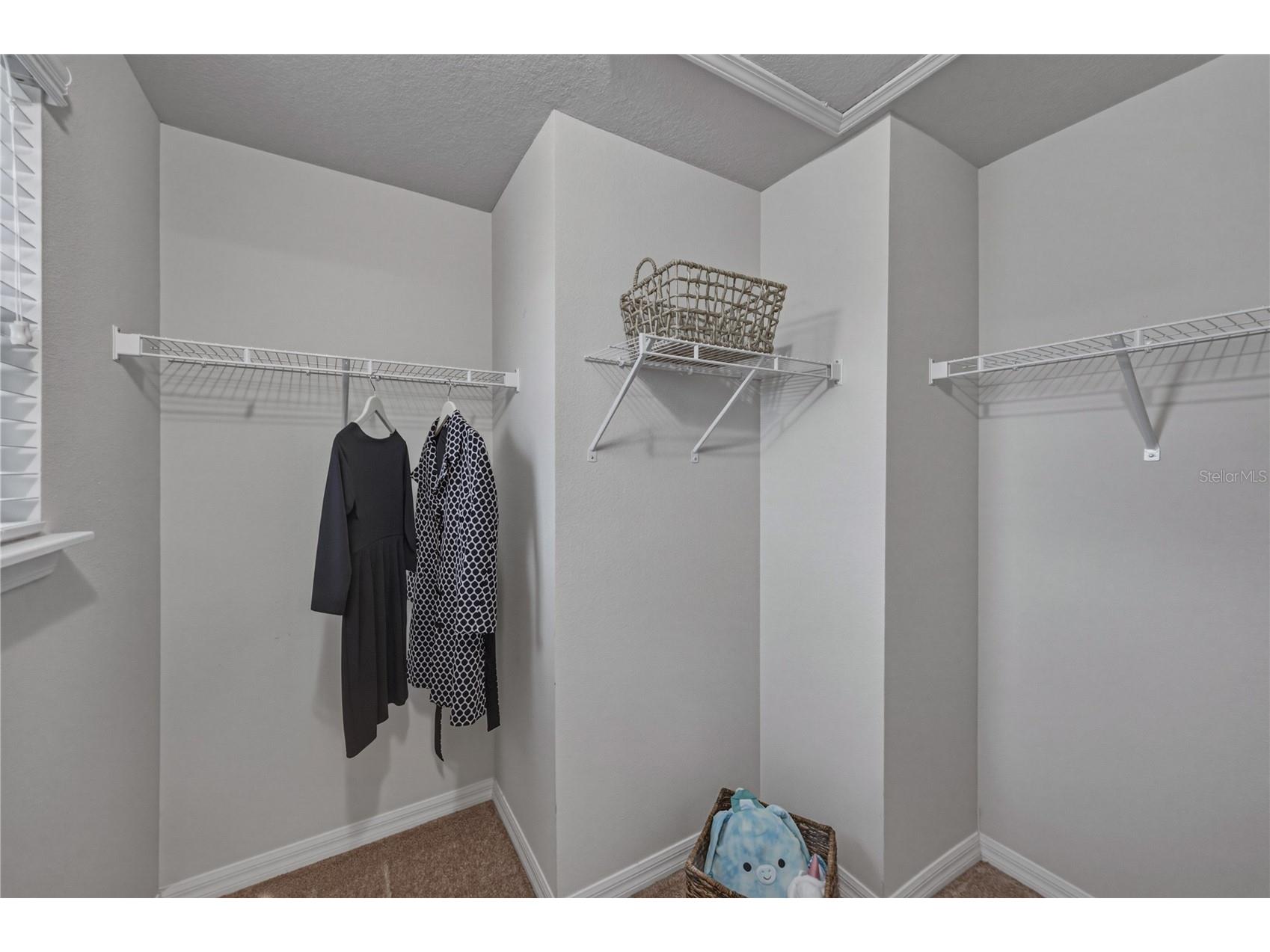 9114 Mountain Magnolia Drive Riverview FL 33578 TB8525844 image57