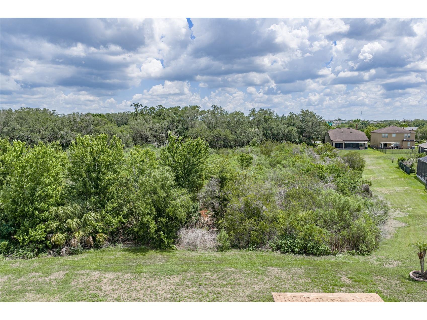 9114 Mountain Magnolia Drive Riverview FL 33578 TB8525844 image69