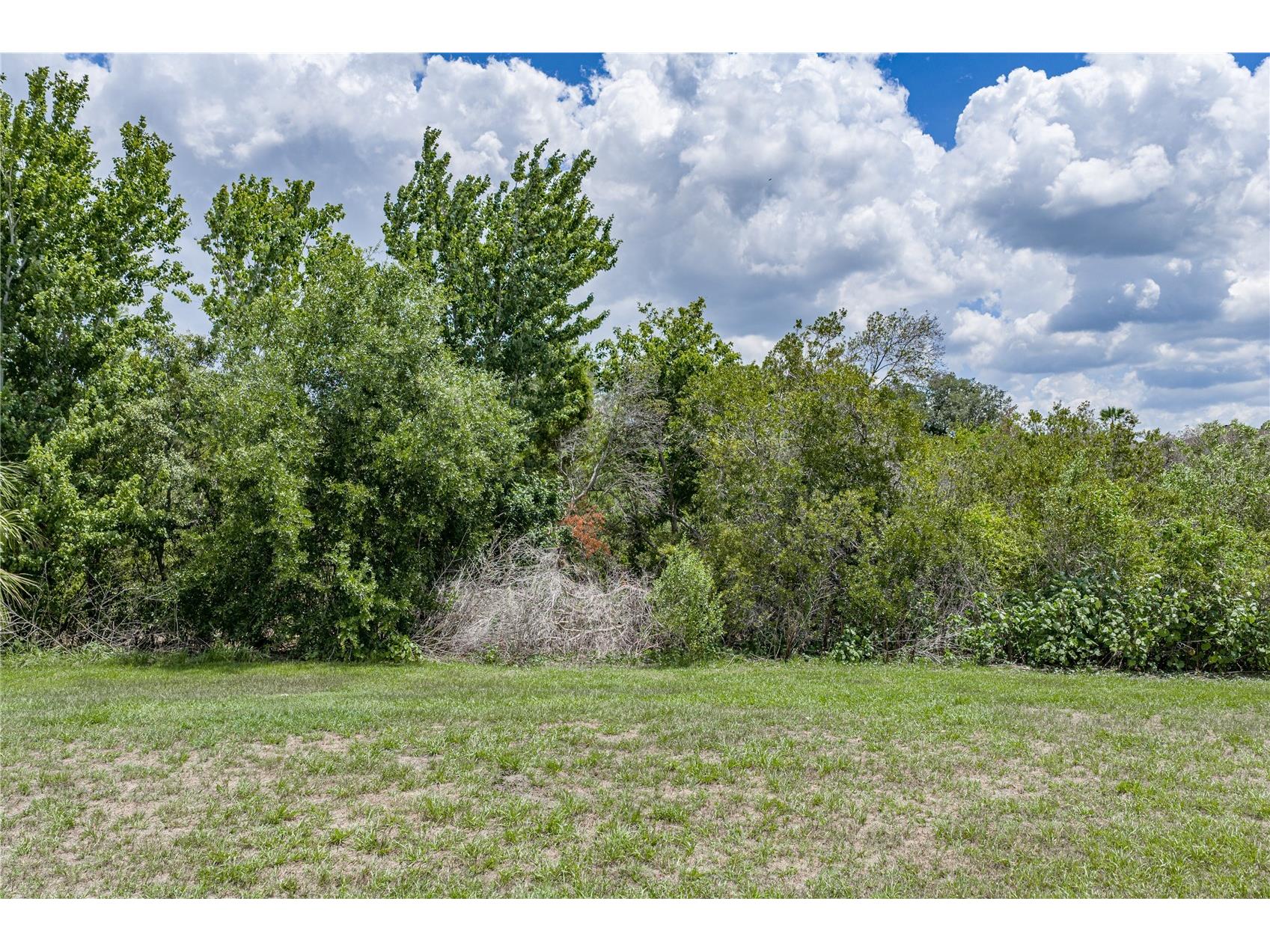 9114 Mountain Magnolia Drive Riverview FL 33578 TB8525844 image70