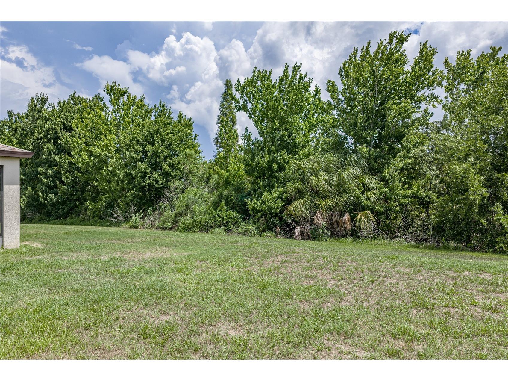 9114 Mountain Magnolia Drive Riverview FL 33578 TB8525844 image71