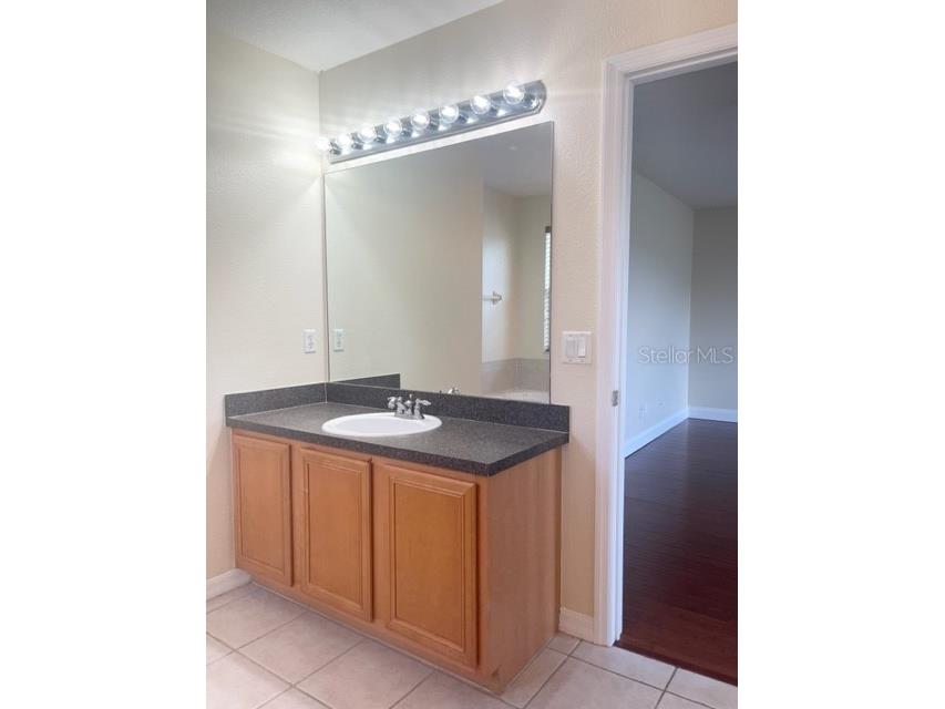 9114 Oak Pride Court Tampa FL 33647 TB8452886 image33