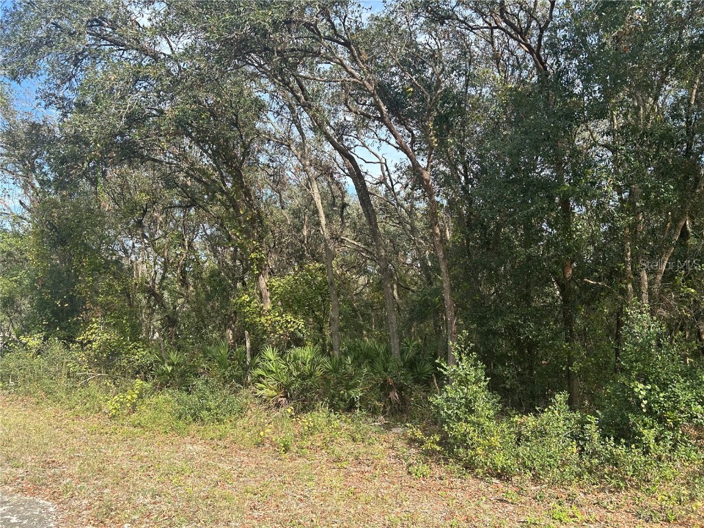 9114 Realstone Drive Webster FL 33597 G5089189 image1