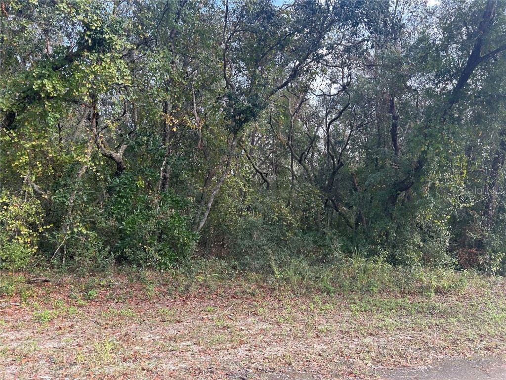 9114 Realstone Drive Webster FL 33597 G5089189 image3