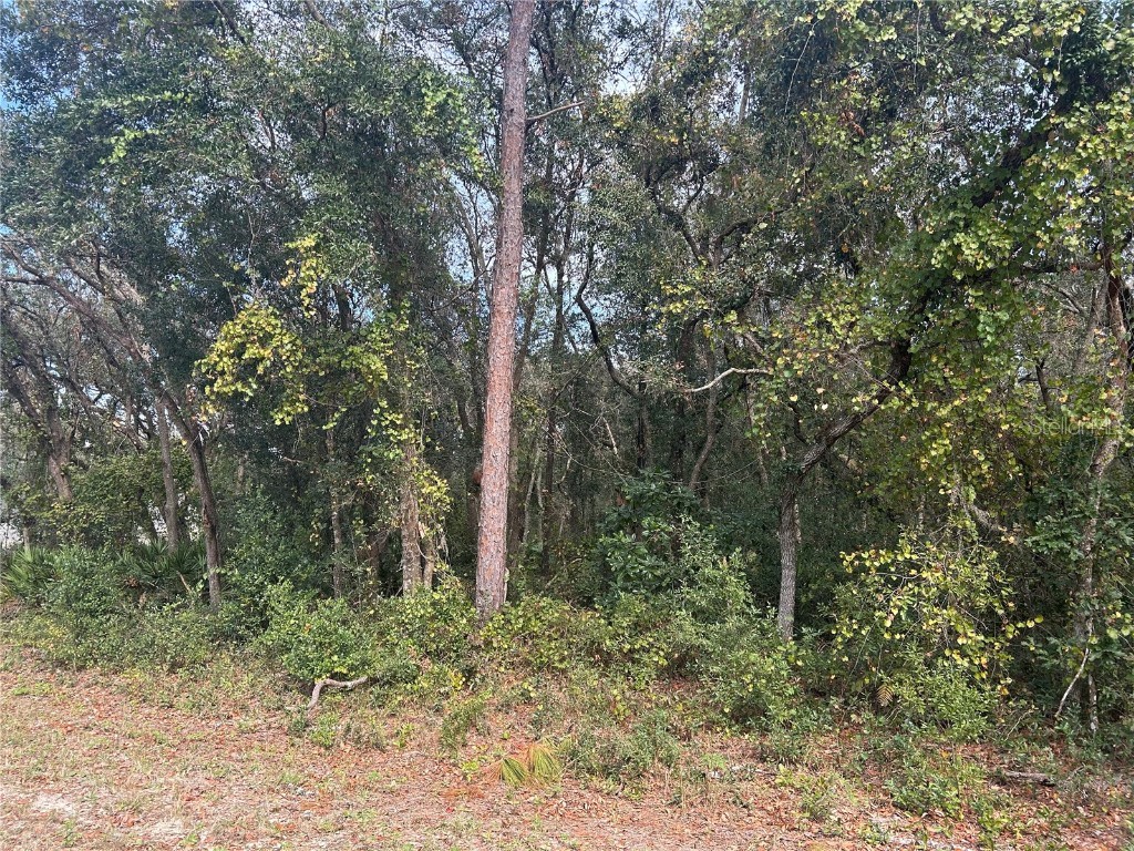 9114 Realstone Drive Webster FL 33597 G5089189 image4