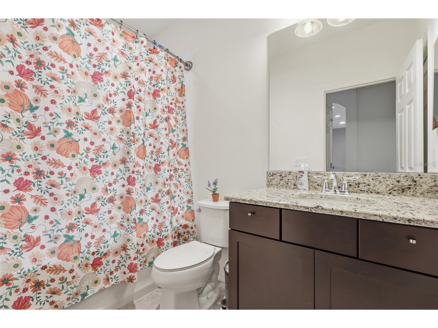 9115 Bella Vita Circle Land O Lakes FL 34637 TB8522701 image27
