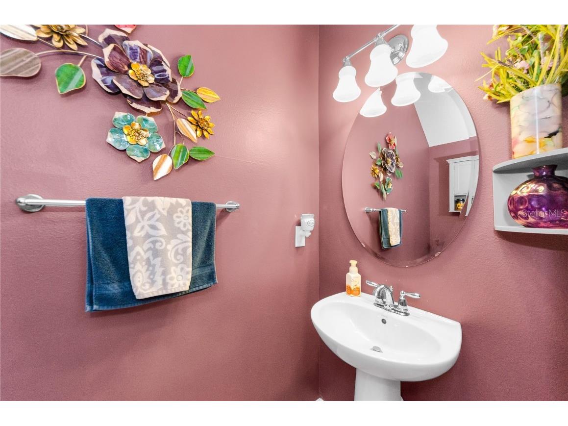 9115 Hillcroft Drive Riverview FL 33578 TB8414483 image13