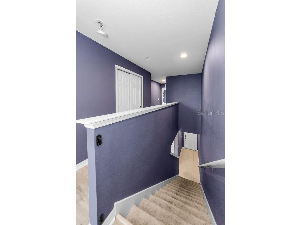 9115 Hillcroft Drive Riverview FL 33578 TB8414483 image22