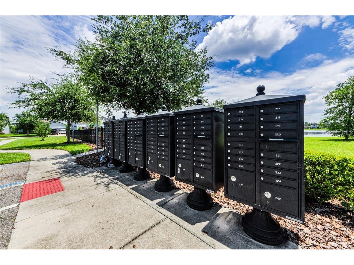 9115 Hillcroft Drive Riverview FL 33578 TB8414483 image25