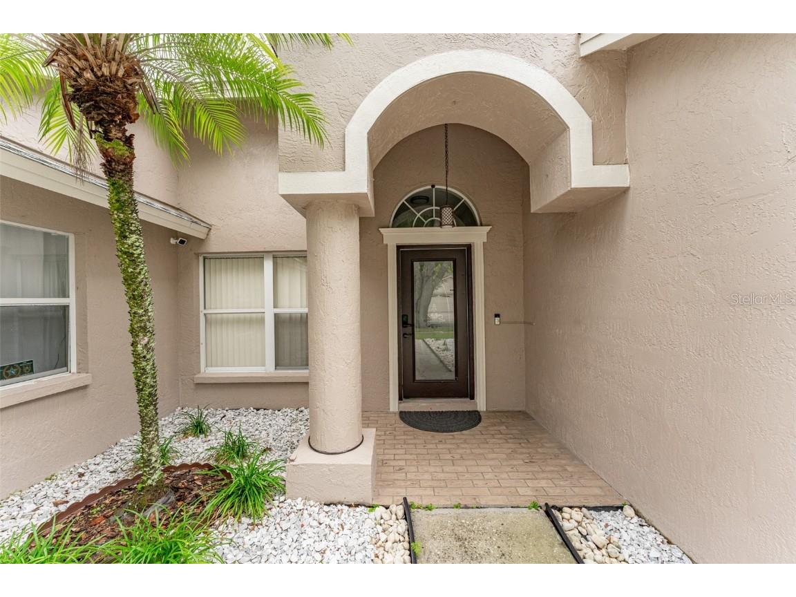 9115 Rockrose Drive Tampa FL 33647 T3526590 image1