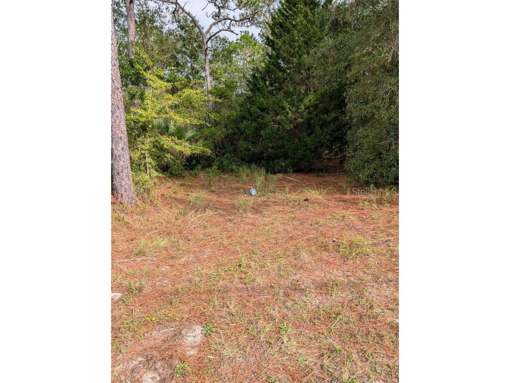 9115 S Suncoast Blvd Homosassa FL 34446 OM712343 image4