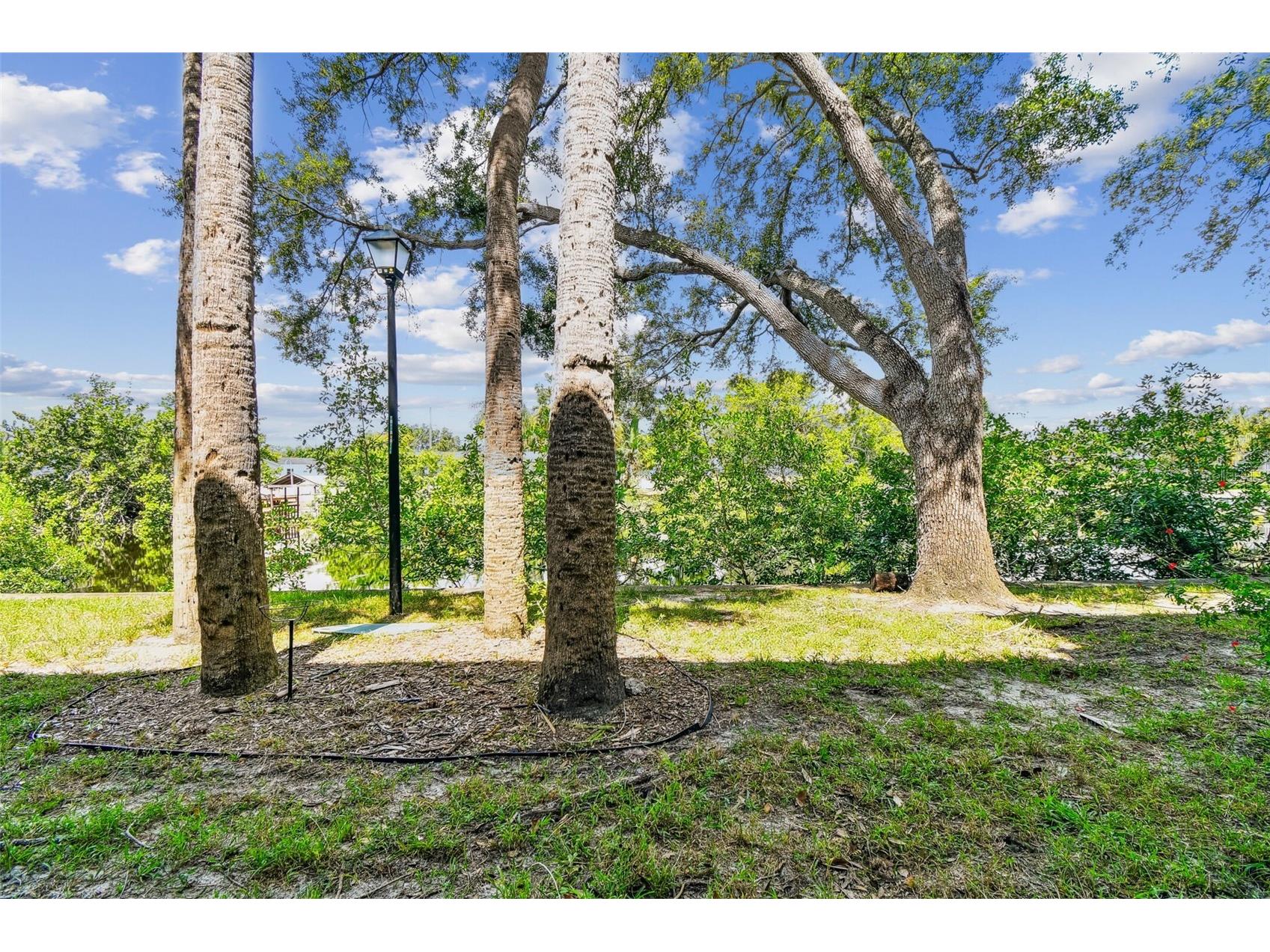 9115 Tudor Drive #E106 Tampa FL 33615 - Rocky Creek TB8428025 image34