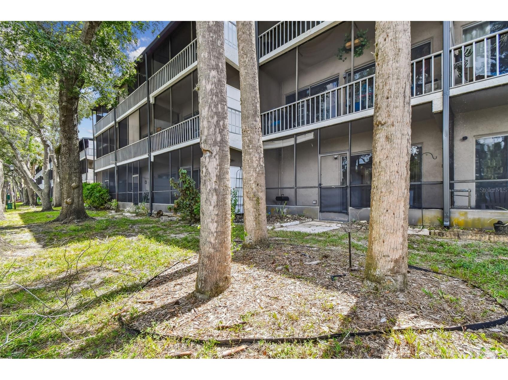 9115 Tudor Drive #E106 Tampa FL 33615 - Rocky Creek TB8428025 image36