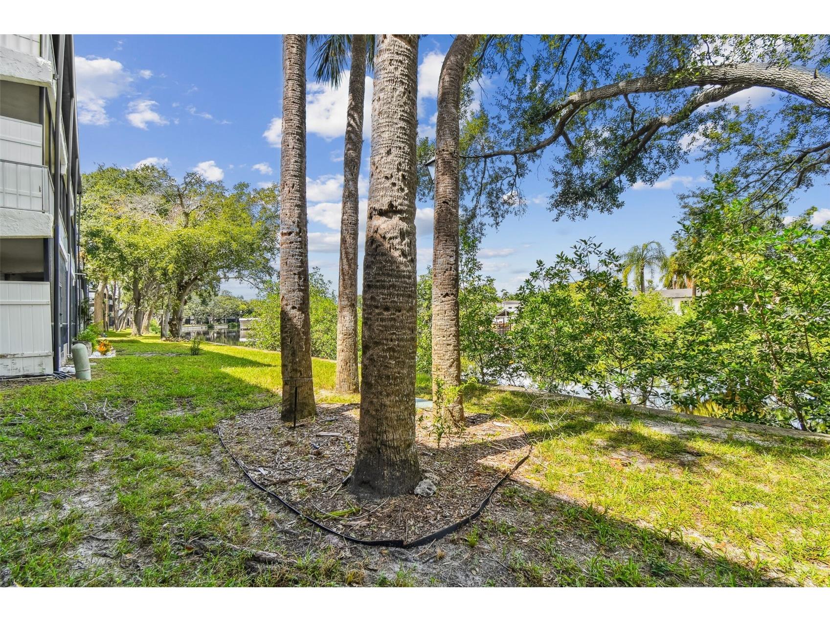 9115 Tudor Drive #E106 Tampa FL 33615 - Rocky Creek TB8428025 image38