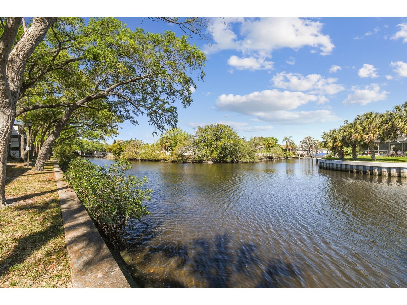 9115 Tudor Drive #E106 Tampa FL 33615 - Rocky Creek TB8428025 image79