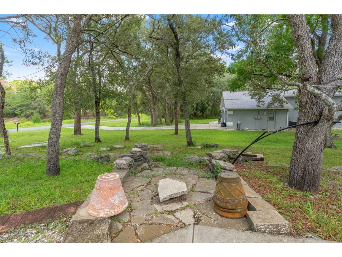 9116 Manetta Road Weeki Wachee FL 34613 W7878576 image18