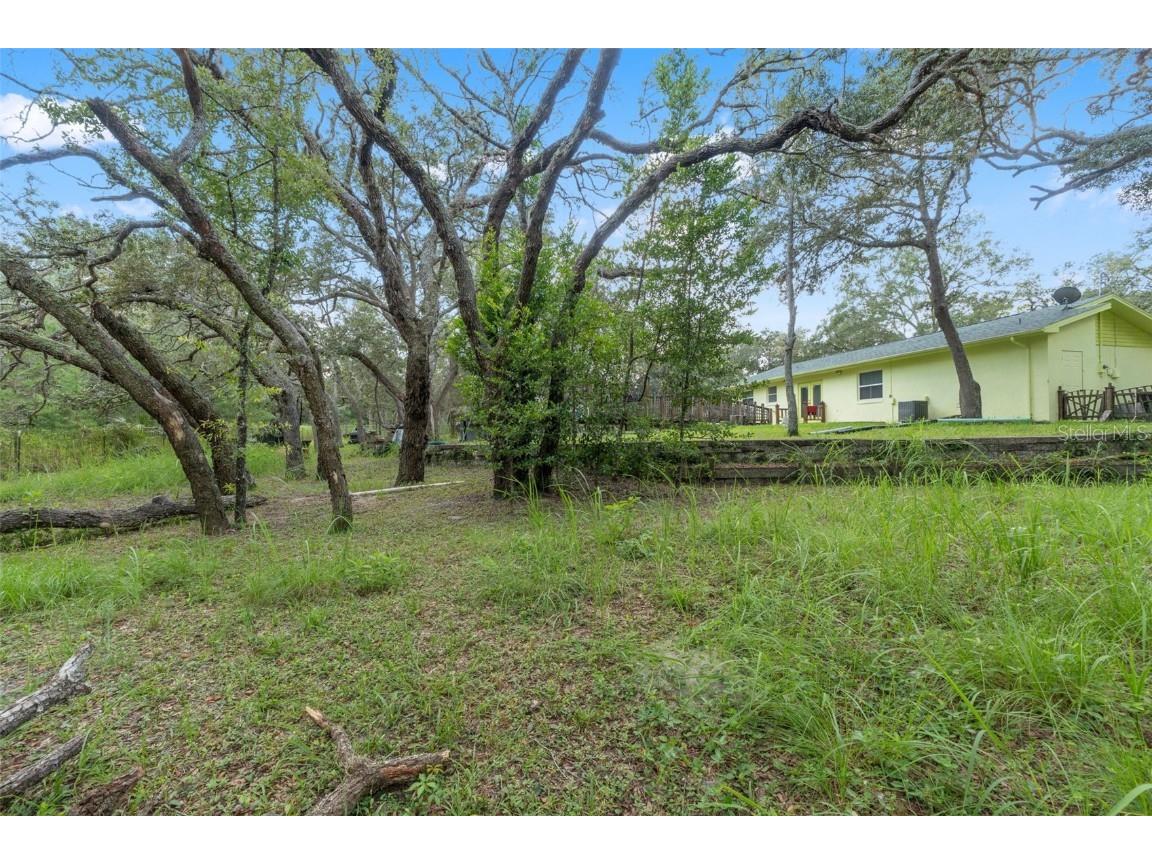 9116 Manetta Road Weeki Wachee FL 34613 W7878576 image20