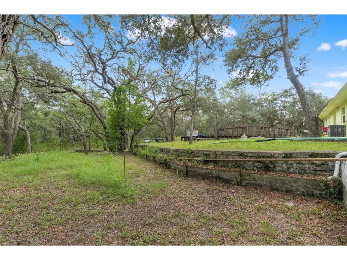 9116 Manetta Road Weeki Wachee FL 34613 W7878576 image21