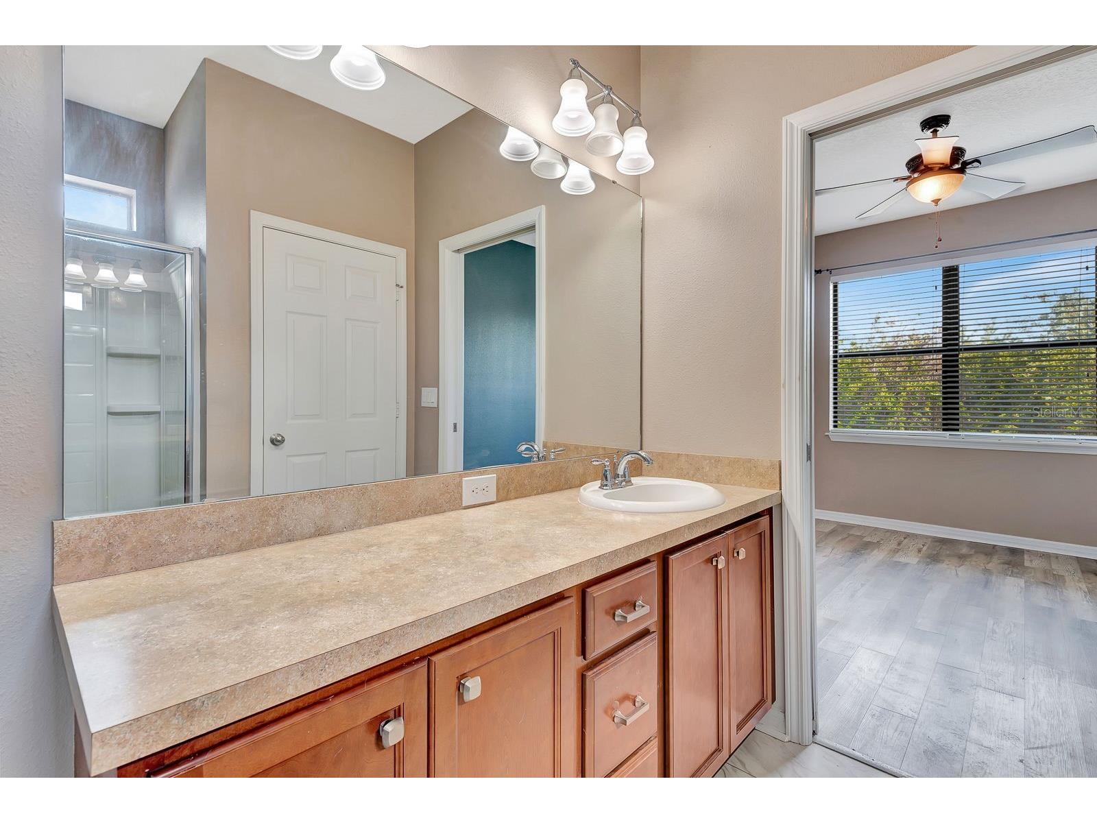 9116 Mountain Camellia Lane Riverview FL 33578 TB8491031 image36