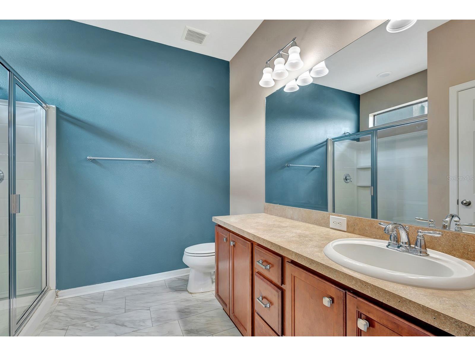 9116 Mountain Camellia Lane Riverview FL 33578 TB8491031 image37