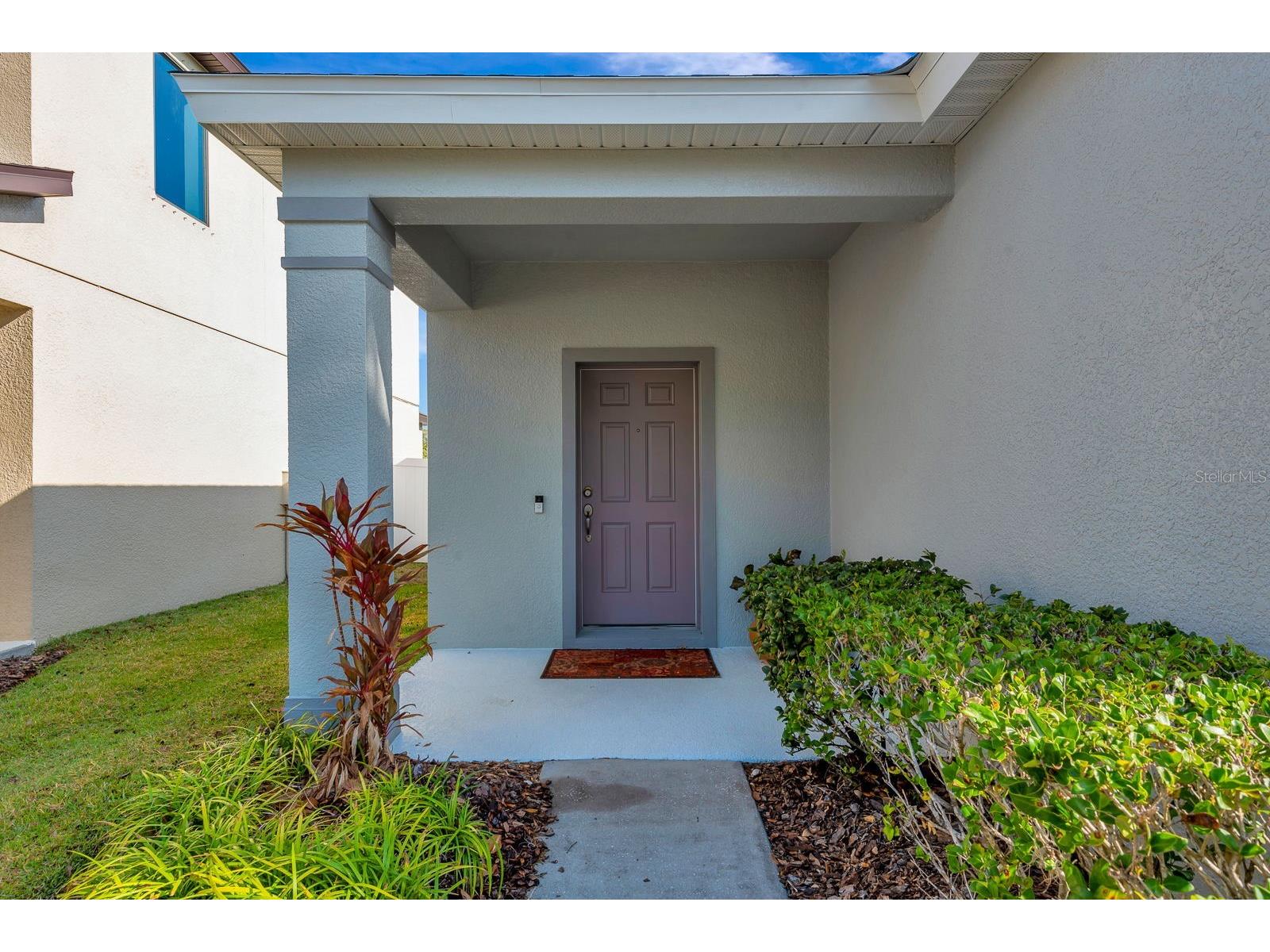 9116 Mountain Camellia Lane Riverview FL 33578 TB8491031 image4