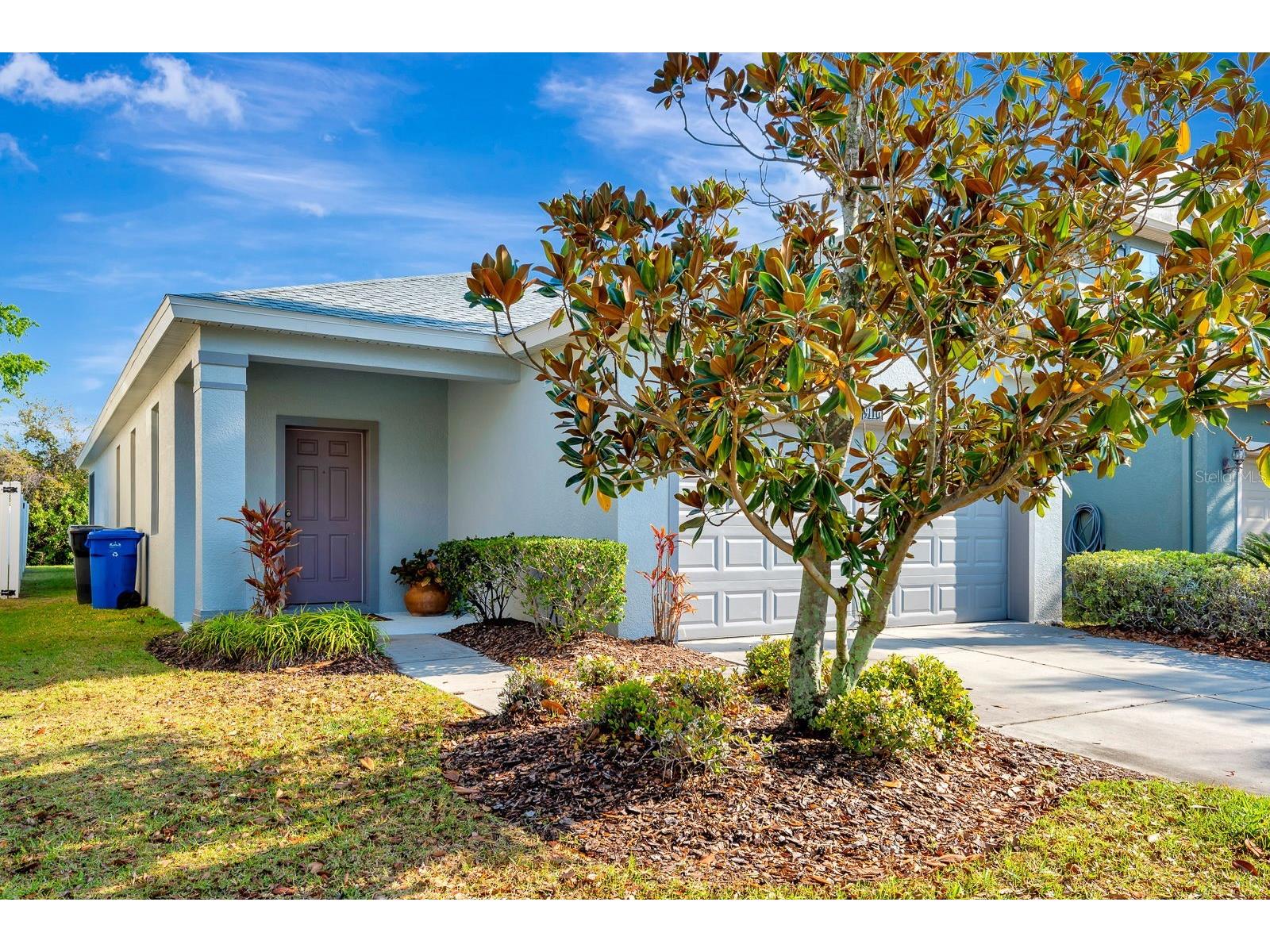 9116 Mountain Camellia Lane Riverview FL 33578 TB8491031 image75