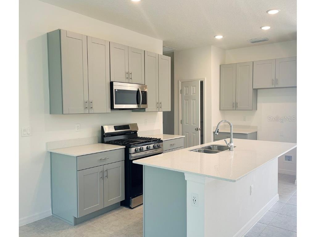 9116 Wildlight Trail Wildwood FL 34785 O6260297 image2