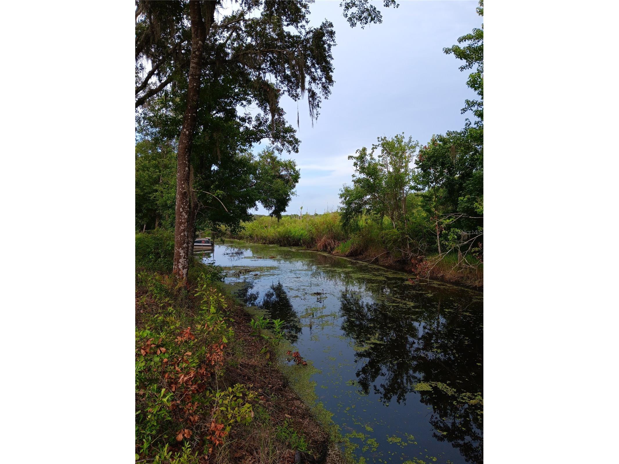 9117 E Royal Palm Drive Inverness FL 34450 O6325287 image1