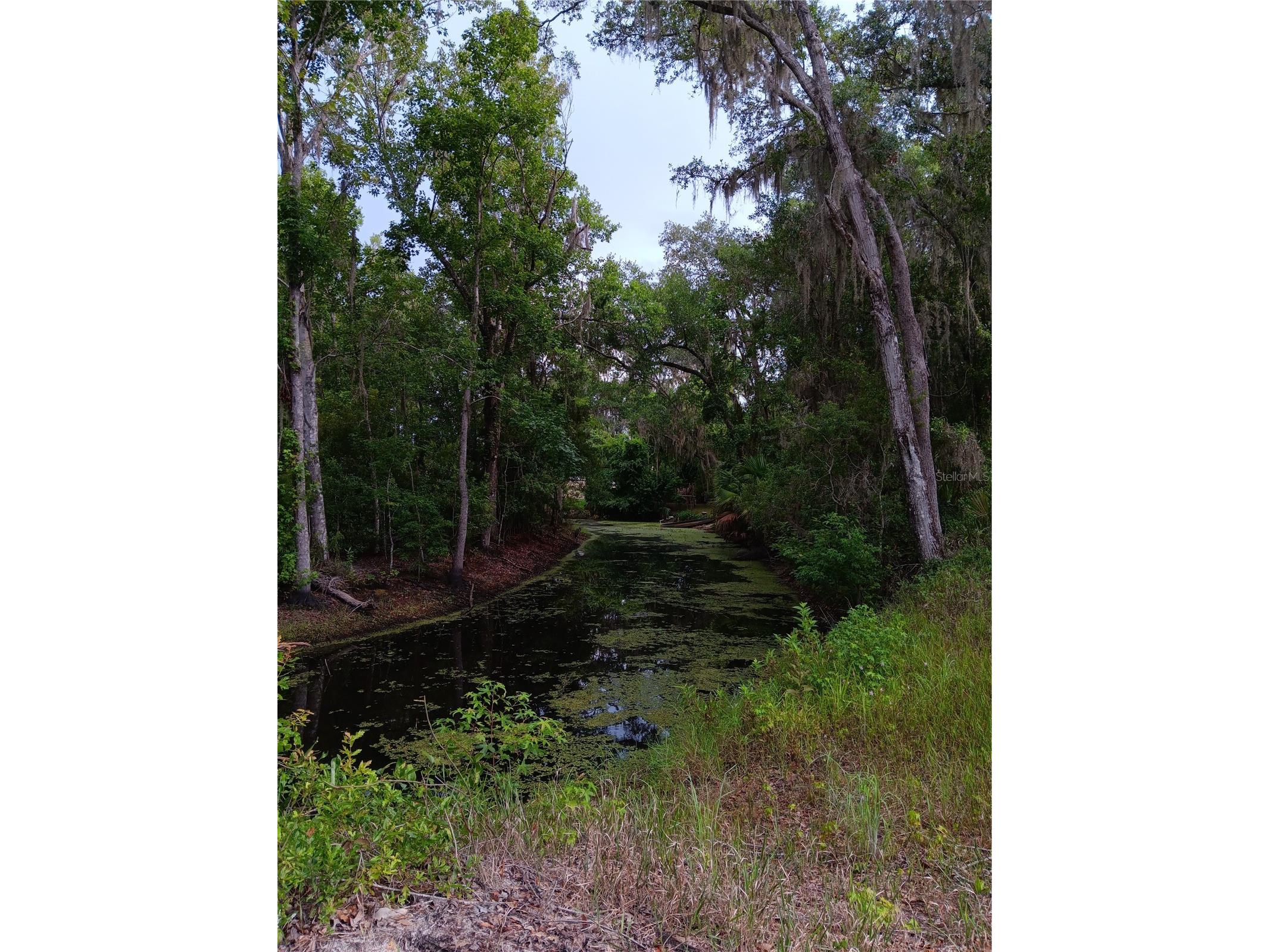 9117 E Royal Palm Drive Inverness FL 34450 O6325287 image4