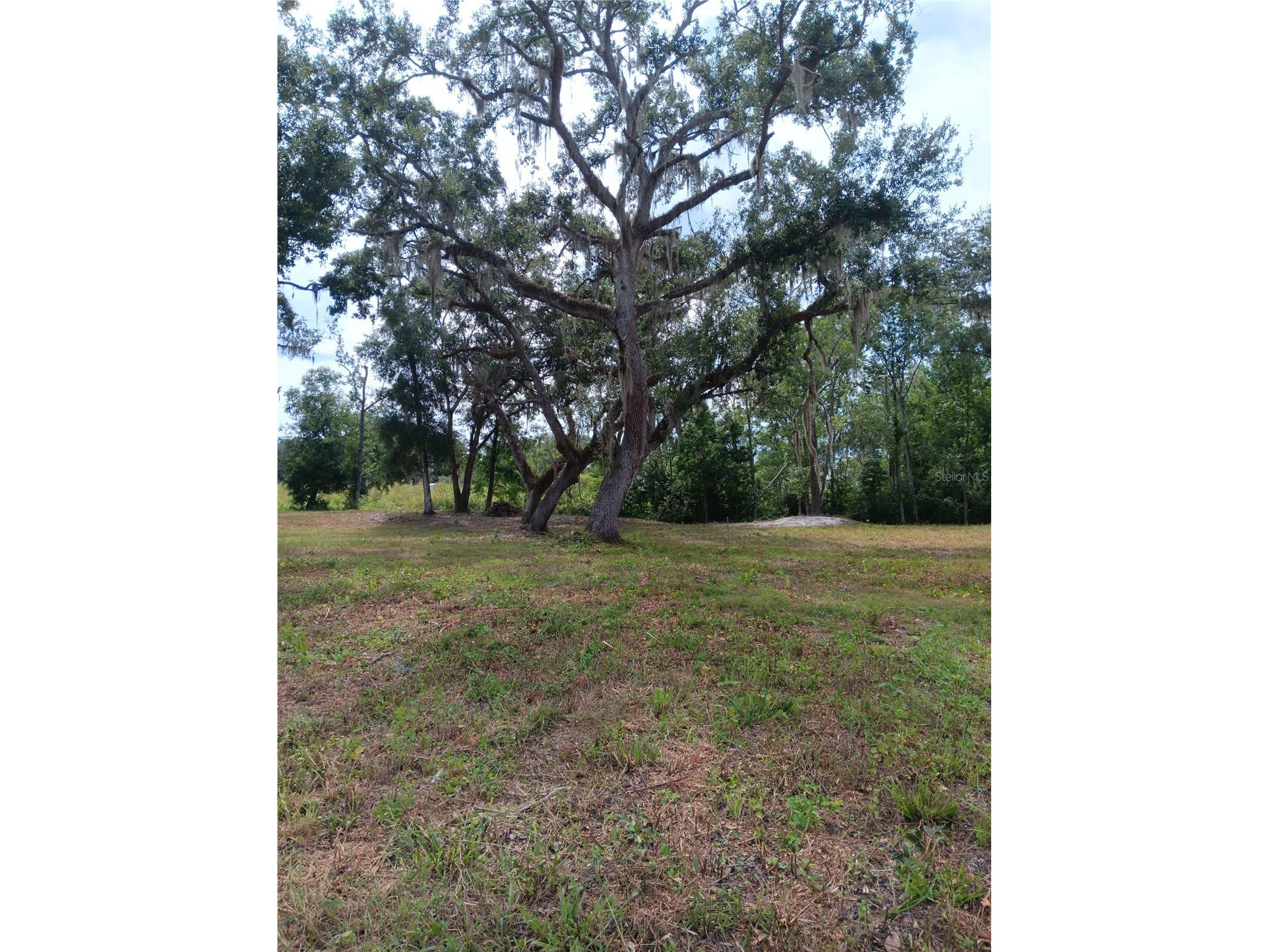 9117 E Royal Palm Drive Inverness FL 34450 O6325287 image5