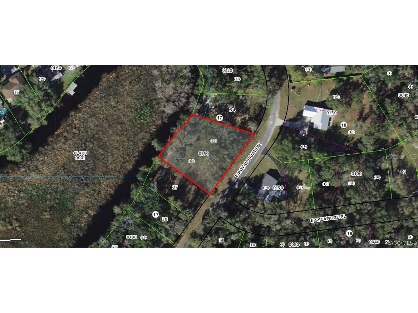 9117 E Royal Palm Drive Inverness FL 34450 O6325287 image7