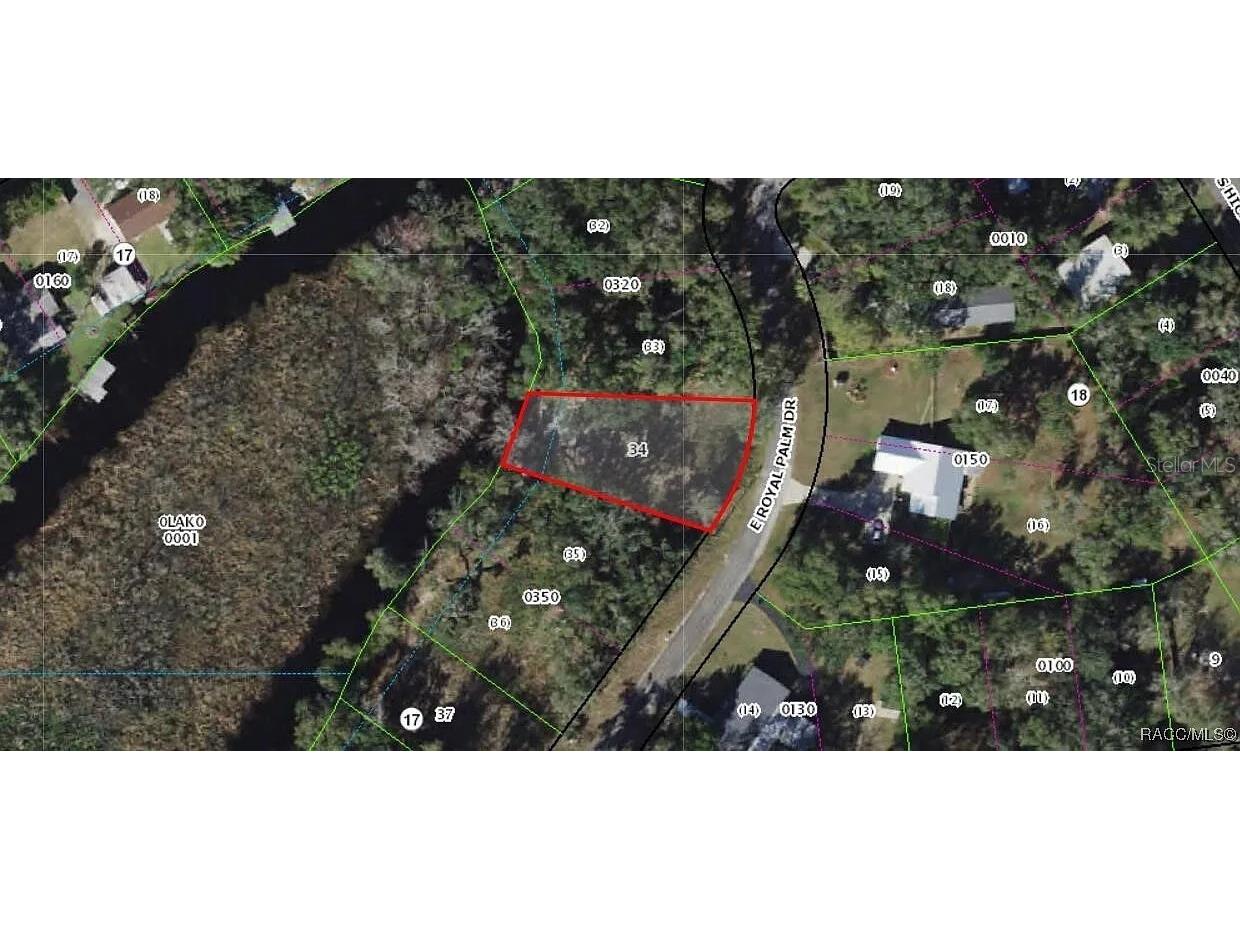 9117 E Royal Palm Drive Inverness FL 34450 O6325287 image8