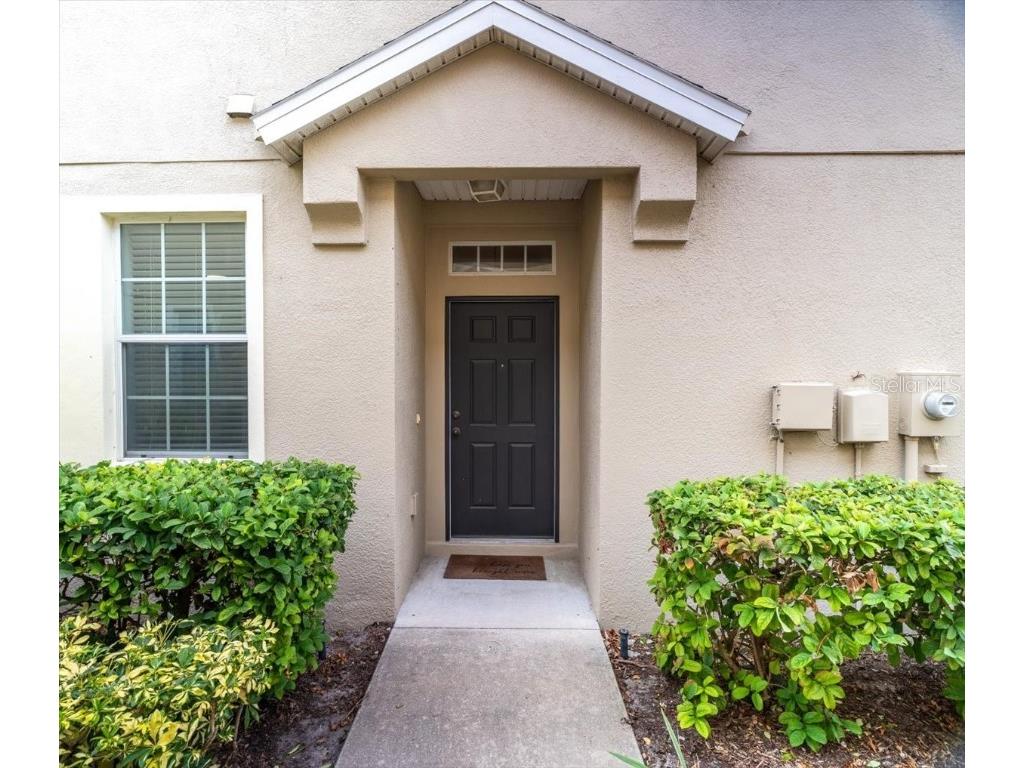 9117 Moonlit Meadows Loop Riverview FL 33578 TB8447157 image12