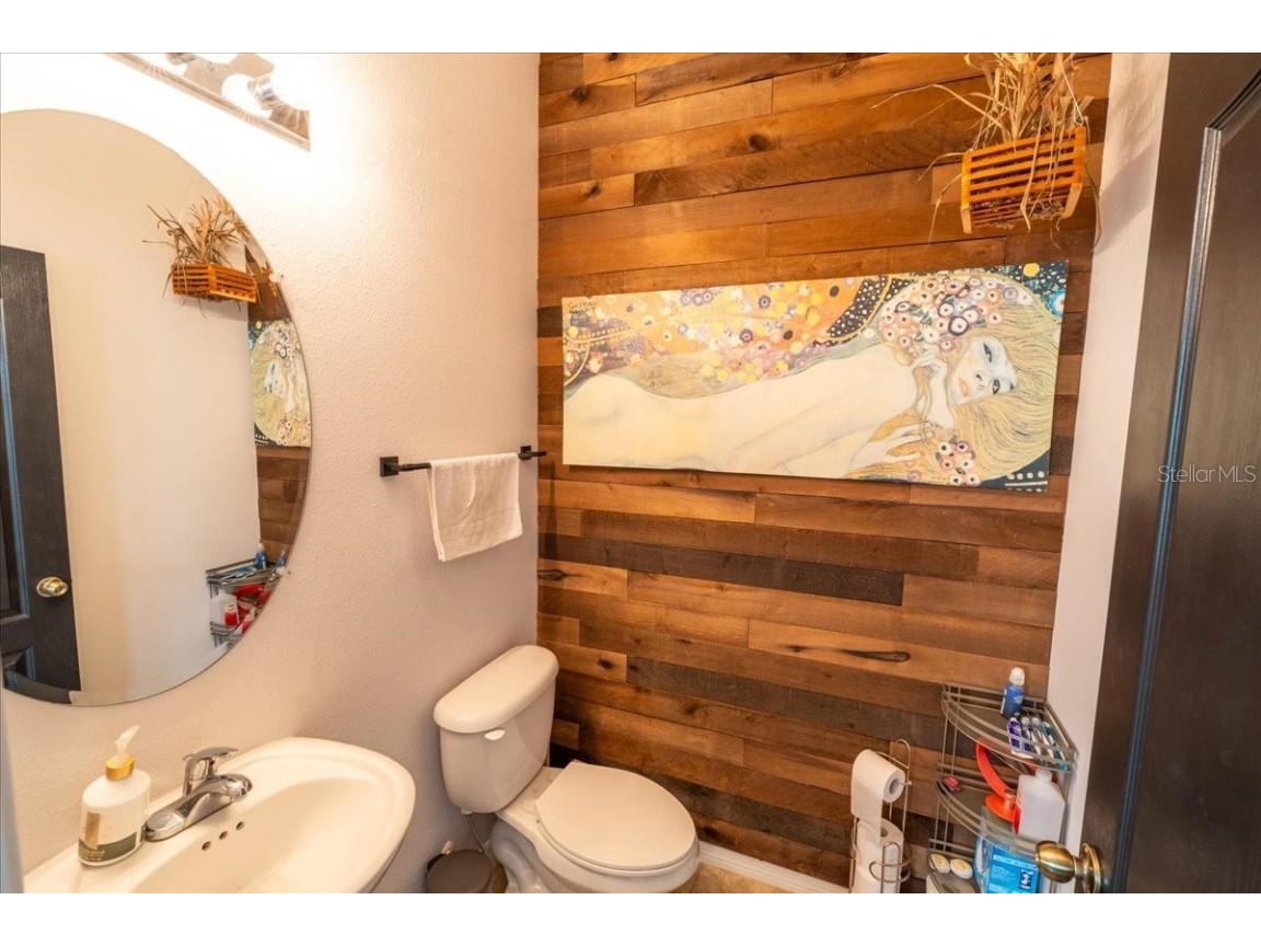 9117 Moonlit Meadows Loop Riverview FL 33578 TB8447157 image25