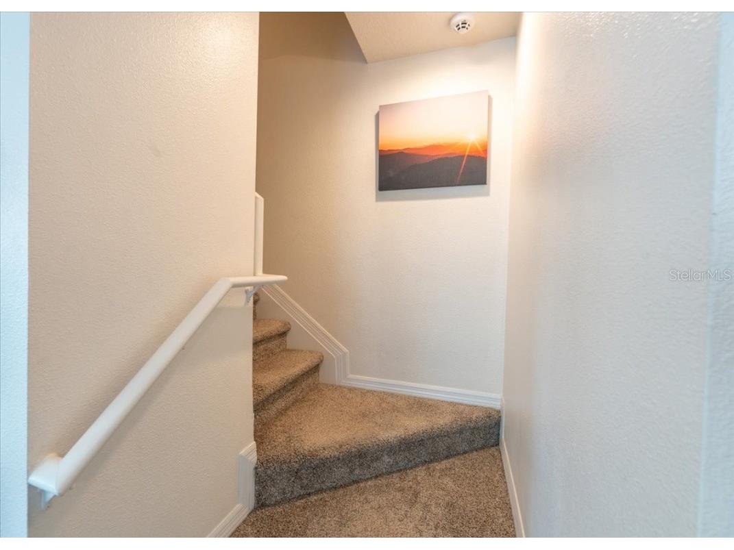 9117 Moonlit Meadows Loop Riverview FL 33578 TB8447157 image26