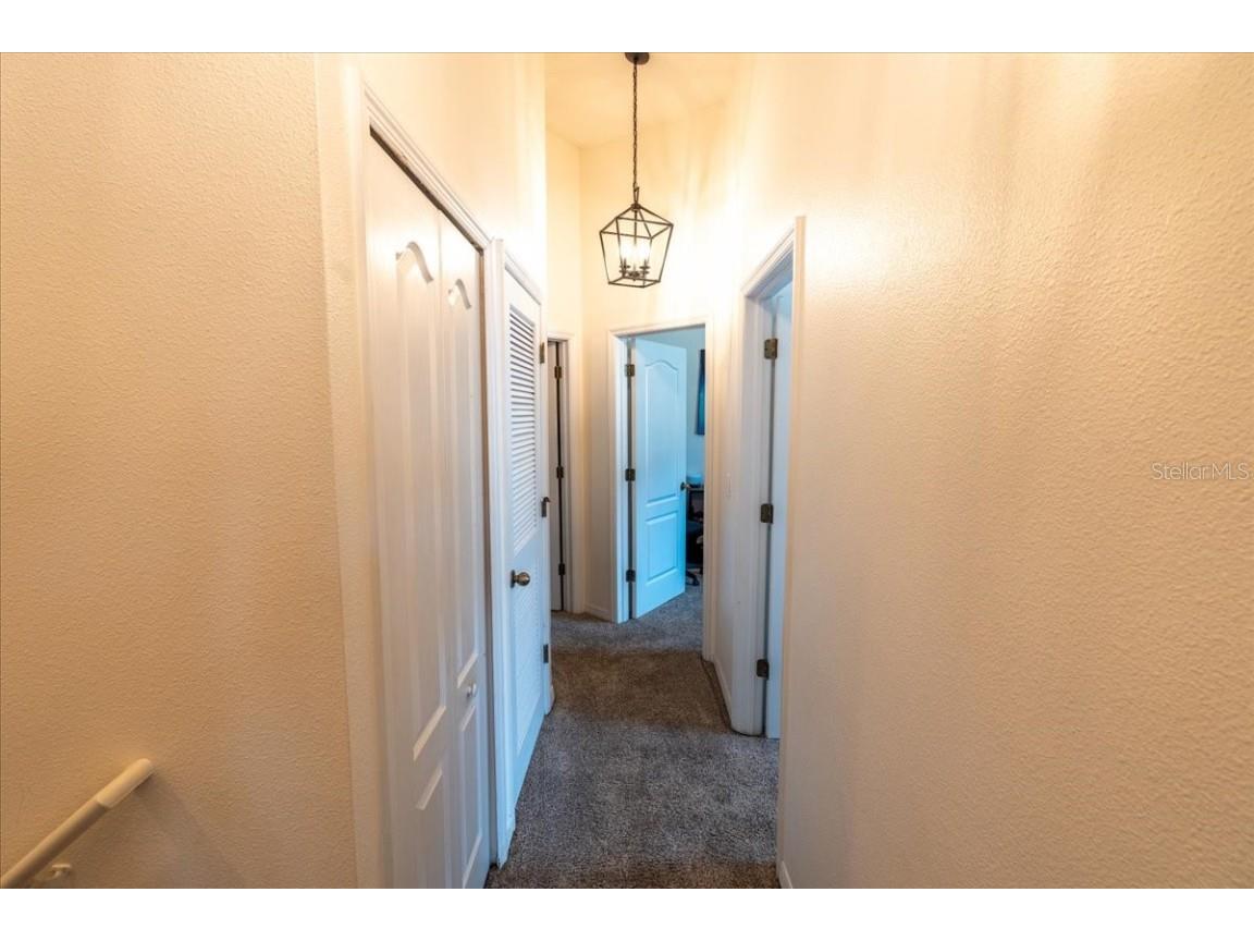 9117 Moonlit Meadows Loop Riverview FL 33578 TB8447157 image34