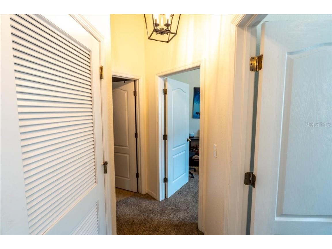 9117 Moonlit Meadows Loop Riverview FL 33578 TB8447157 image35