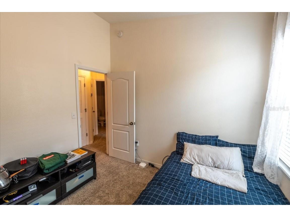 9117 Moonlit Meadows Loop Riverview FL 33578 TB8447157 image38