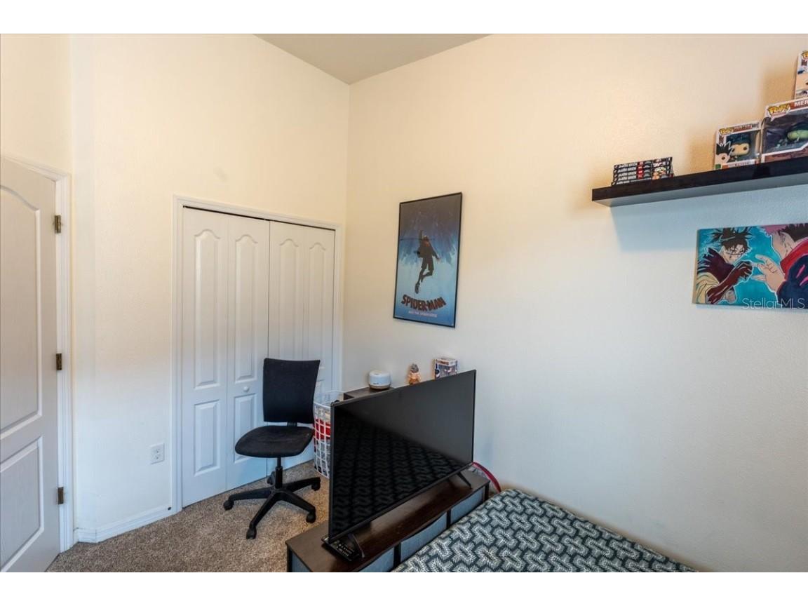 9117 Moonlit Meadows Loop Riverview FL 33578 TB8447157 image41