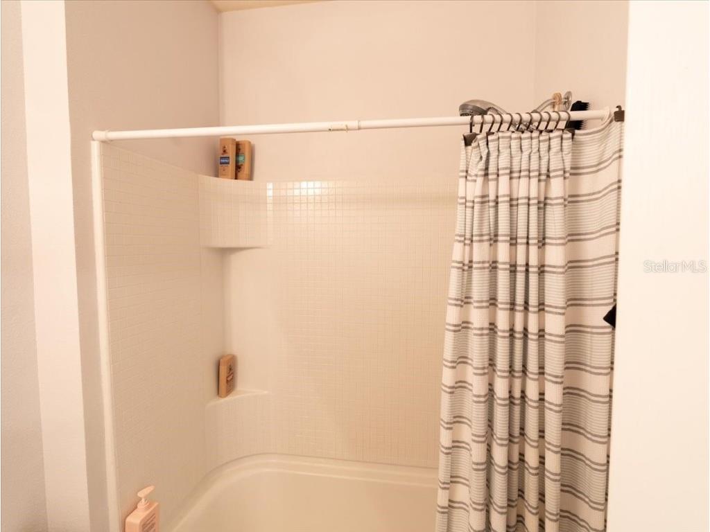 9117 Moonlit Meadows Loop Riverview FL 33578 TB8447157 image42