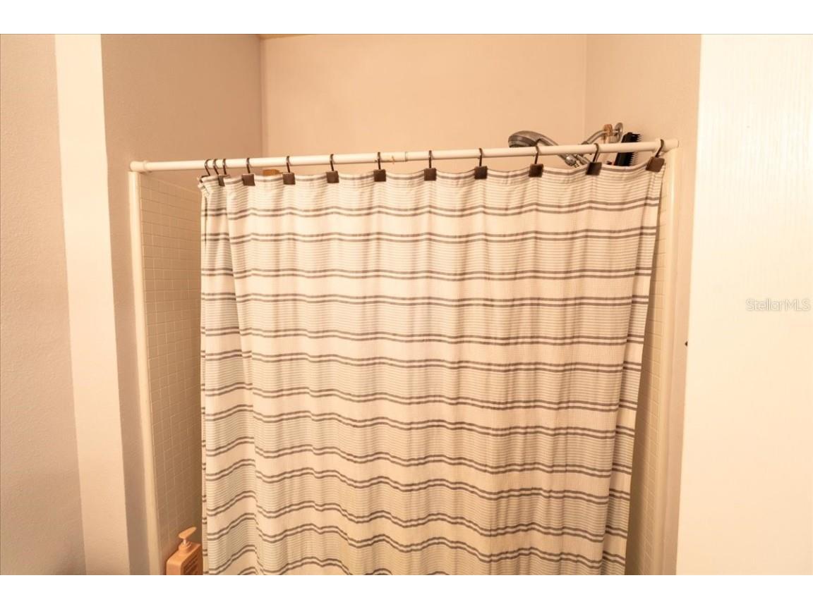 9117 Moonlit Meadows Loop Riverview FL 33578 TB8447157 image43