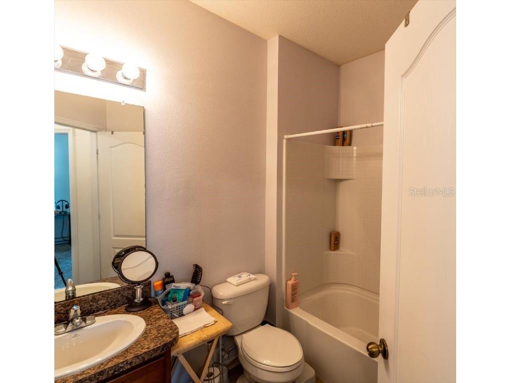 9117 Moonlit Meadows Loop Riverview FL 33578 TB8447157 image44