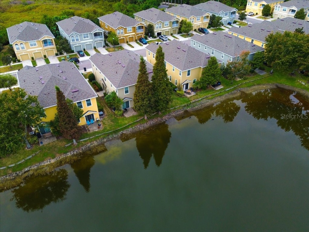 9117 Moonlit Meadows Loop Riverview FL 33578 TB8447157 image45